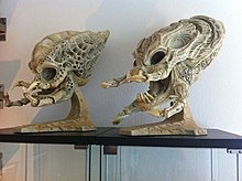 img_0424.jpg