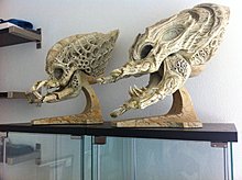 img0417df.jpg
