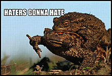 haters-gonna-hate-humping-frogs.jpg