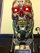img0467t.jpg