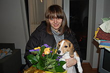 dsc_0078-800x600.jpg