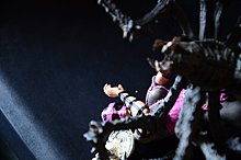 dsc_0177.jpg
