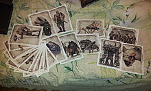 20130201_182613.jpg