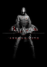 robin___batman_arkham_city_2_by_designsbytopher-d3jtaw5.jpg