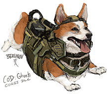 zzcorg.jpg
