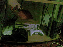 imag234.jpg