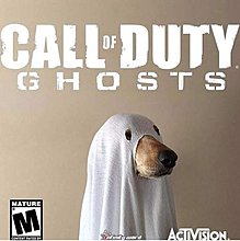 cod.jpg