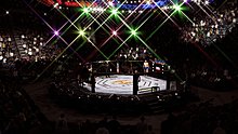 ea-sports-ufc-demo_20140604020755.jpg