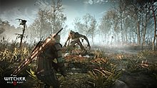 the_witcher_3_wild_hunt_geralt_fighting_a_werewolf_in_no_man_s_land.jpg