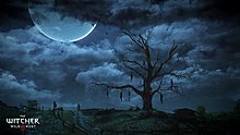 the_witcher_3_wild_hunt_hanged_man_s_tree_copy.jpg