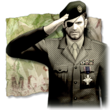 mgs3.png