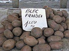blec_fraidai.jpg