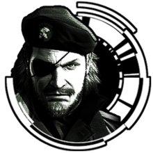 mgspw.png