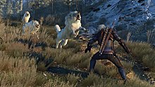 2845992-witcher.jpg