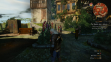 witcher_2.png