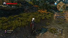 velen_18.jpg