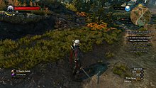 velen_19.jpg