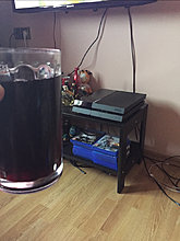 img_0690.jpg