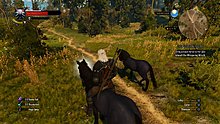 velen_3.jpg