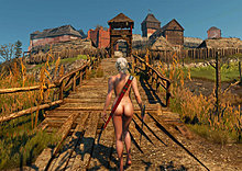 witcher-3-naked-ass-ciri.jpeg