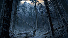 1445030790-bear-valley-key-art.jpg