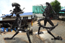 rb00299_2.gif