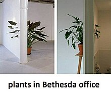 0aksijx.jpg
