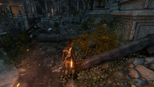 rise-tomb-raider_4.png