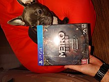 rsz_dsc_0495.jpg