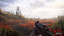 s2hos_gscgameworld_poppy_field-5c557da8abea42995a6d.jpg