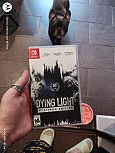 img_20250514_190200245.jpg