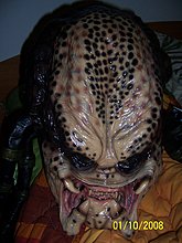 100_5051.jpg