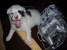 100_7857.jpg