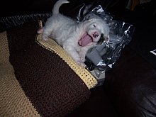 100_7856.jpg