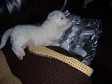 100_7855.jpg