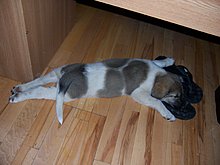 100_7745.jpg