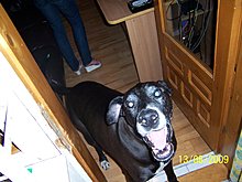 100_7609.jpg