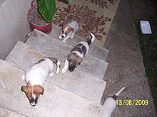 100_7595.jpg