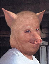swine-flu-final-stages.jpg