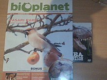 pic-20091117-00.jpg