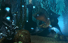 underwater.jpg