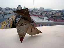 dsc00564.jpg