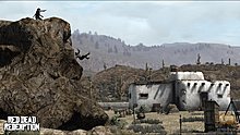 264250.jpg