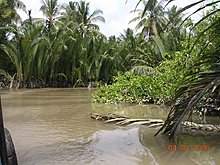 jangal.jpg