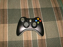 img0055wt.jpg