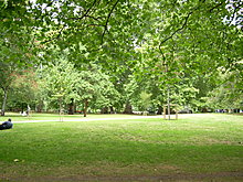 dscn0275.jpg