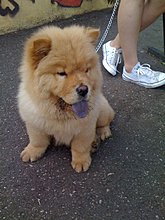 img_0297.jpg