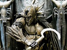 spawn_dscn0037.jpg