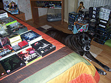 100_8838.jpg