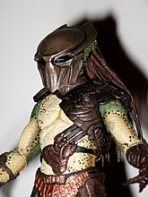 falconer-4.jpg